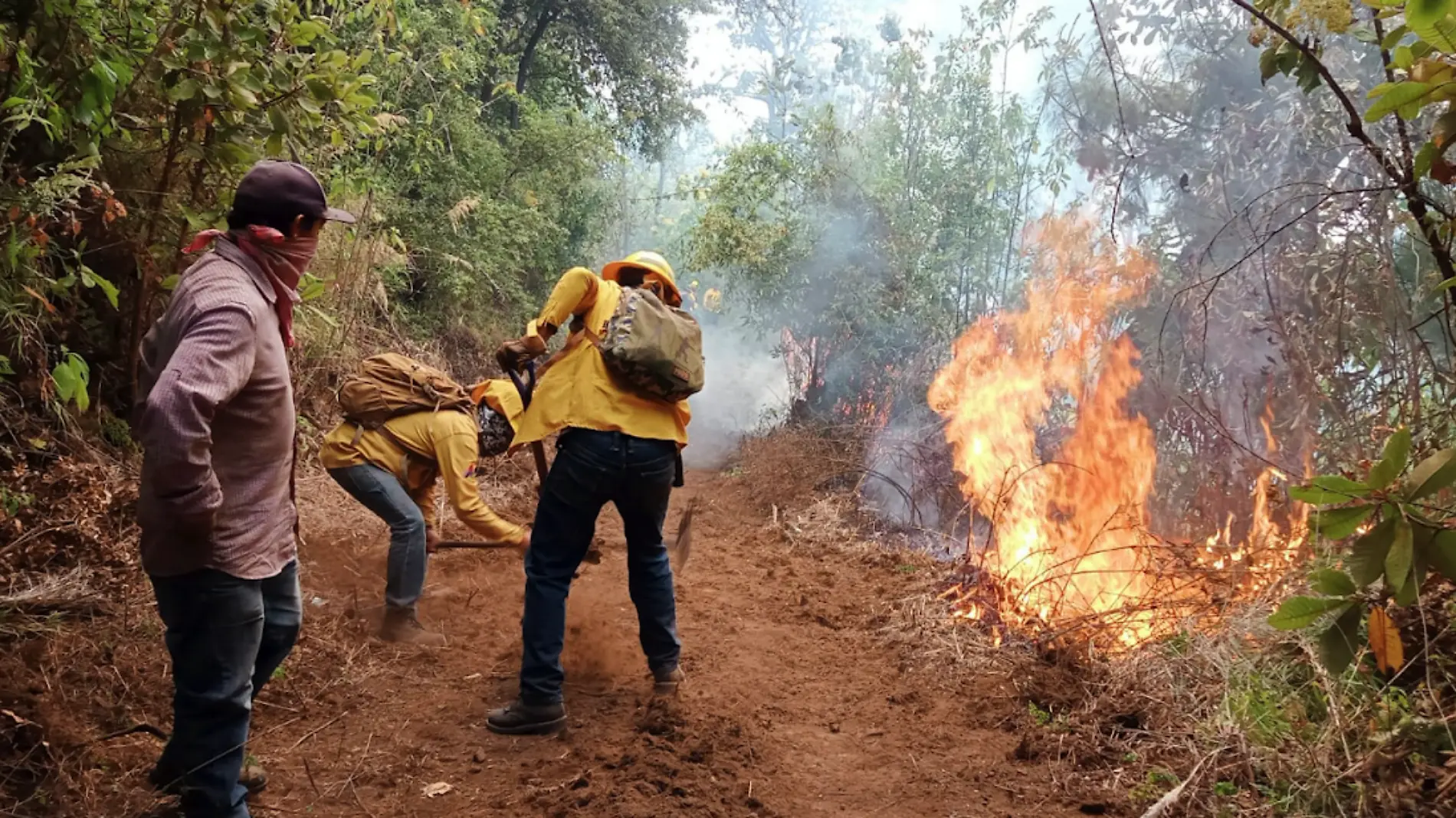 combate incendio 2